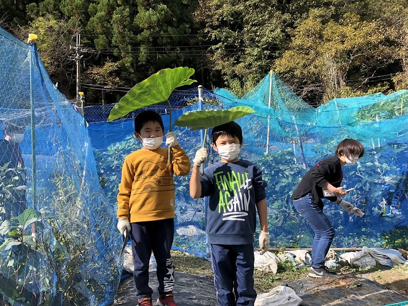 画像