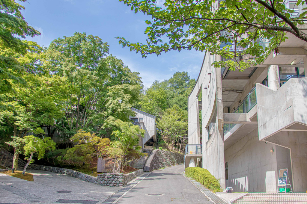 箕⾯市立⻘少年教学の森野外活動センター　オルタナの森・Minoh
